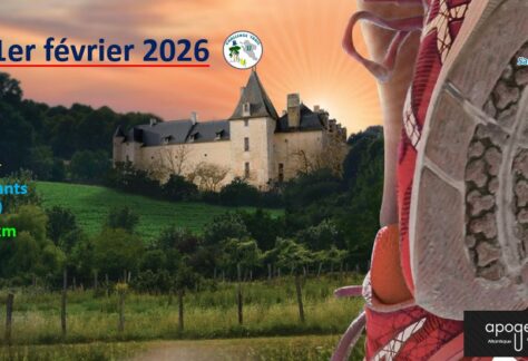 Trail du Bois Charmant 2026