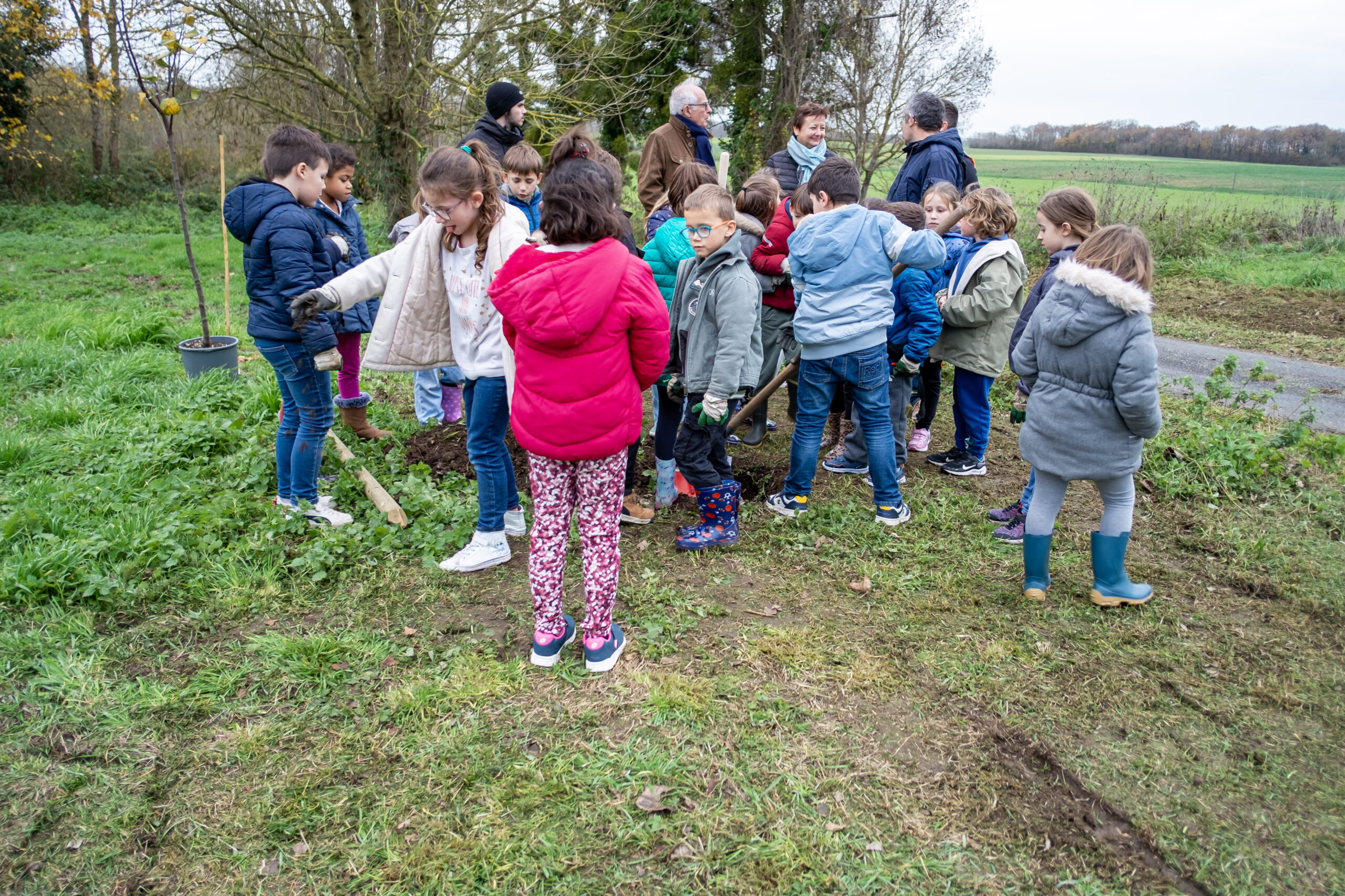 Archingeay - Un arbre pour la planète, un verger pour demain