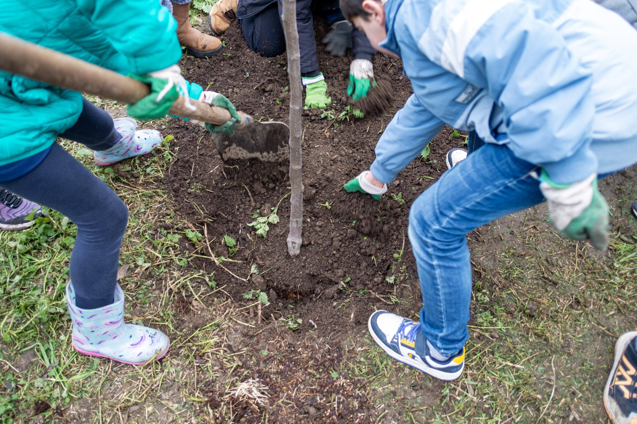Archingeay - Un arbre pour la planète, un verger pour demain